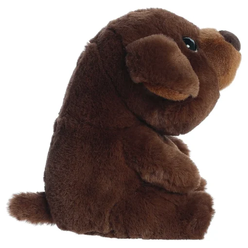 Aurora® - Boop - 9" Chip
