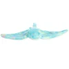 Aurora® - Destination Nation - 19" Stingray - Aqua