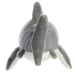 Aurora® - Destination Nation - 17