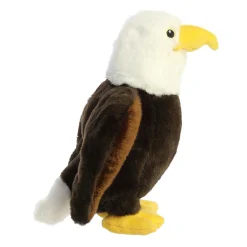 Aurora® - Eco Nation - 9.5