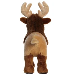 Aurora® - Eco Nation - 10.5