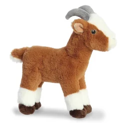 Aurora® - Eco Nation - 10.5