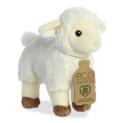 Aurora® - Eco Nation - 8