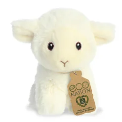 Aurora® - Eco Nation - 5
