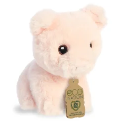 Aurora® - Eco Nation - 5