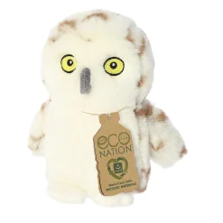 Aurora® - Eco Nation - 5