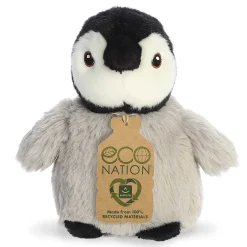 Aurora® - Eco Nation - 5