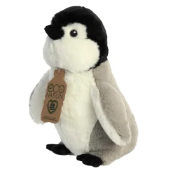 Aurora® - Eco Nation - 9.5