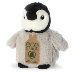 Aurora® - Eco Nation - 5