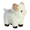 Aurora® - Eco Nation - 8" Ram