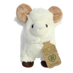 Aurora® - Eco Nation - 8