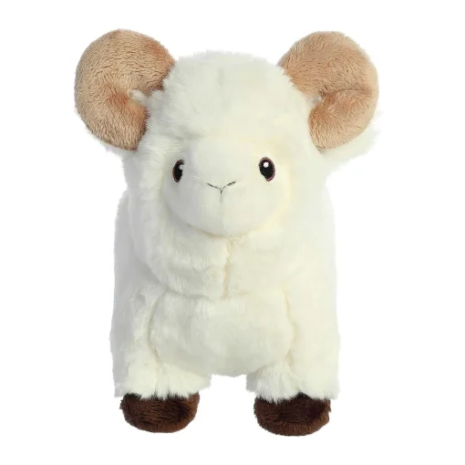 Aurora® - Eco Nation - 8" Ram