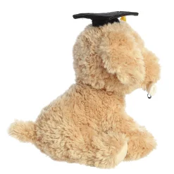 Aurora® - Graduation - 8.5
