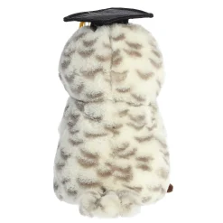 Aurora® - Graduation - 9