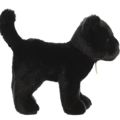 Aurora® - Miyoni® - 10