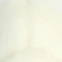 Aurora® - Miyoni® - American White Rabbit