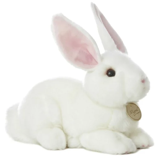 Aurora® - Miyoni® - American White Rabbit