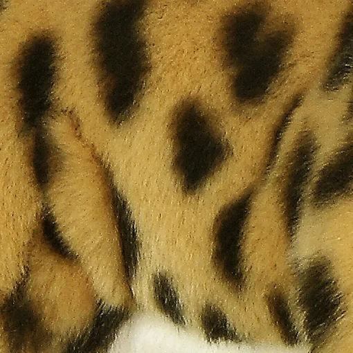 Aurora® - Miyoni® - Cheetah