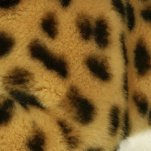 Aurora® - Miyoni® - Cheetah