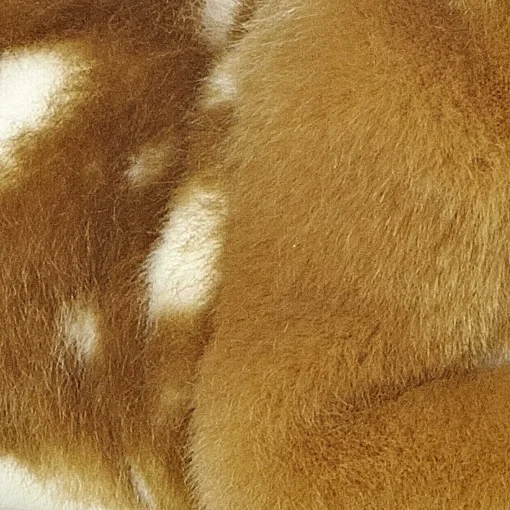 Aurora® - Miyoni® - Fawn