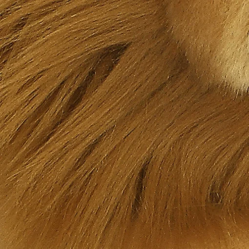 Aurora® - Miyoni® - Lion