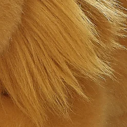 Aurora® - Miyoni® - Lion