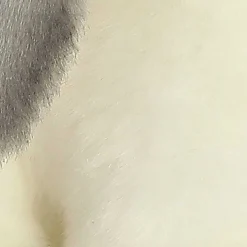 Aurora® - Miyoni® - Lop Eared Rabbit