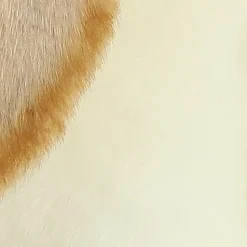 Aurora® - Miyoni® - Lop Eared Rabbit