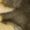 Aurora® - Miyoni® - Wolf
