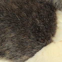 Aurora® - Miyoni® - Wolf