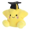 Aurora® - Palm Pals - 5" Magna Graduation Star