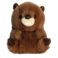 Aurora® - Rolly Pet - 5