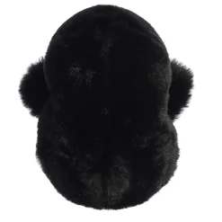 Aurora® - Rolly Pet - 5