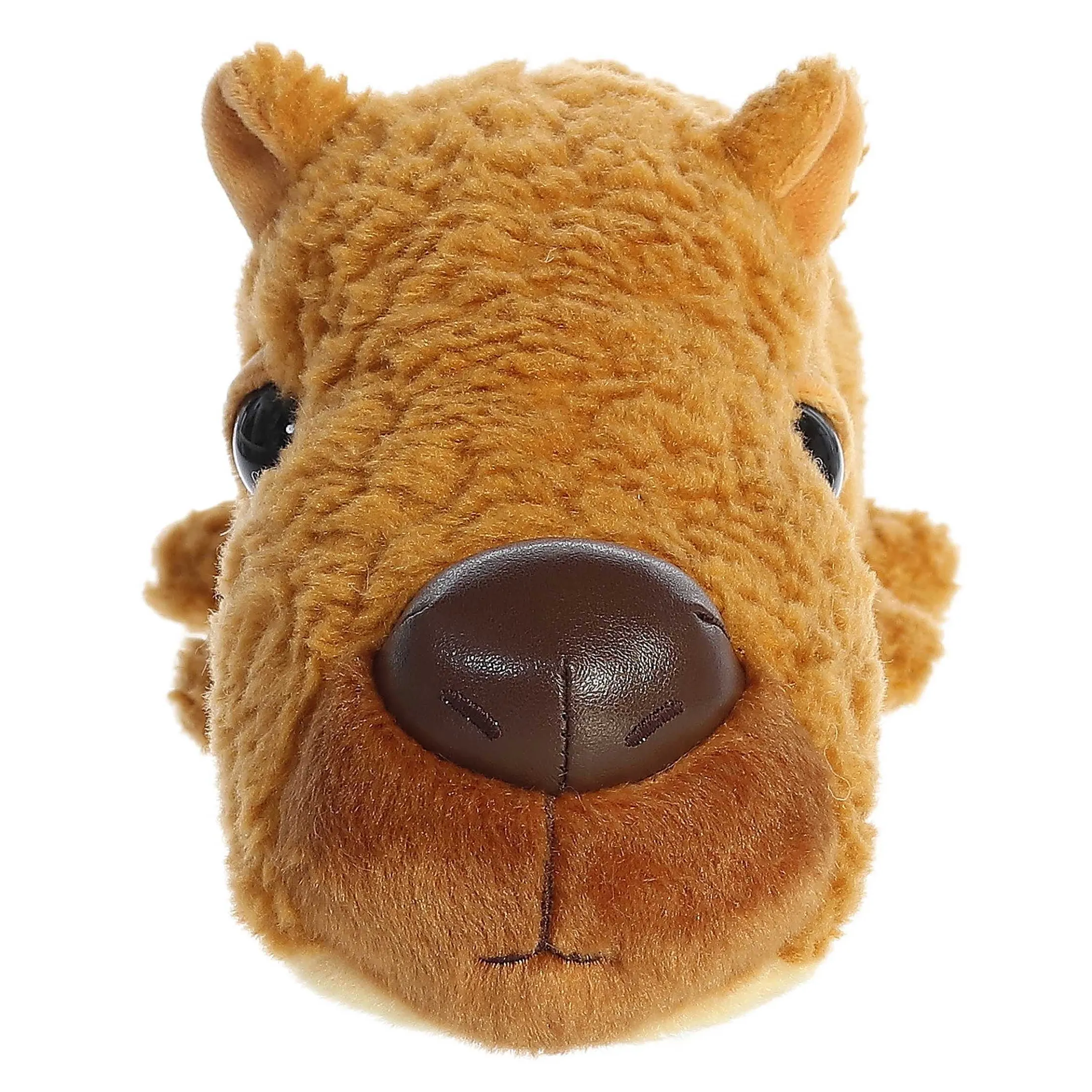 Aurora® - Schnozzles - 11" Cameron Capybara