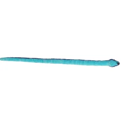 Aurora® - Snake - 50