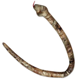 Aurora® - Snake - 50" Gopher Snake
