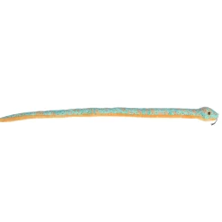 Aurora® - Snake - 50