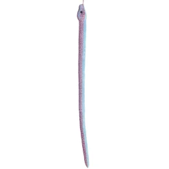 Aurora® - Snake - Kusheez - 51