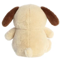 Aurora® - Stubez - 11